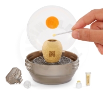 MGA's Miniverse – Make it Mini Dinosauři (Jurský svět), PDQ (1)